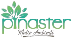 Escudo Bembibre FS Pinaster